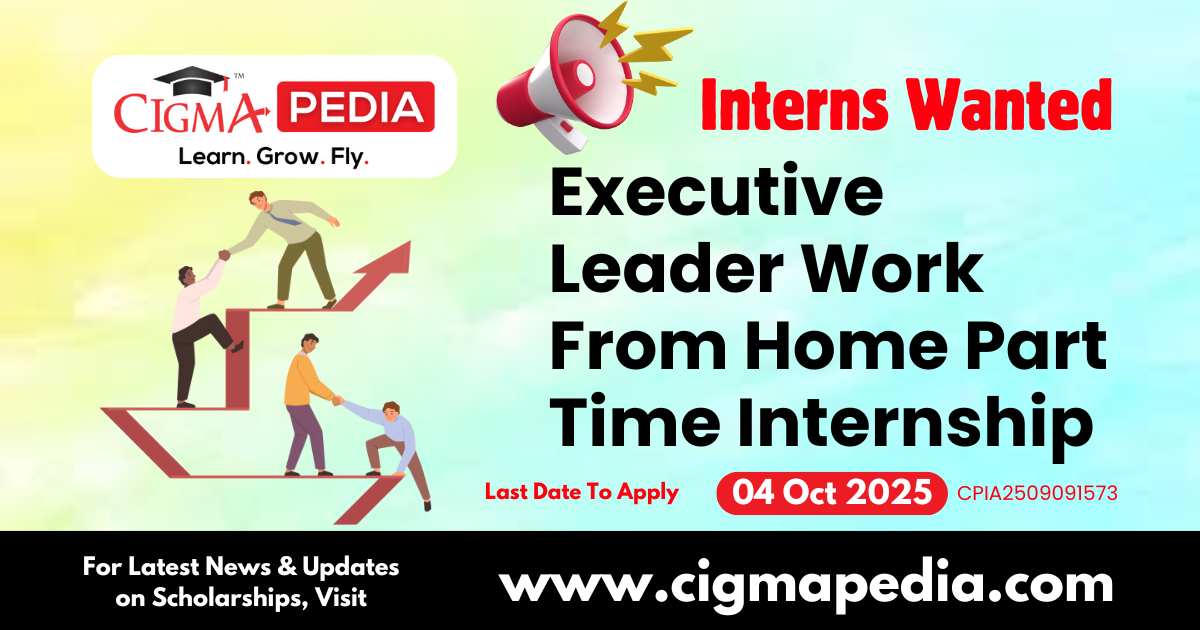 Executive Leader Work From Home Part Time Internship