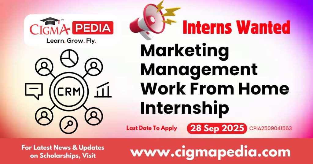 Marketing Management Work From Home Internship
