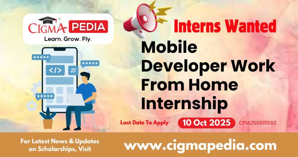 Mobile Developer Work From Home Internship