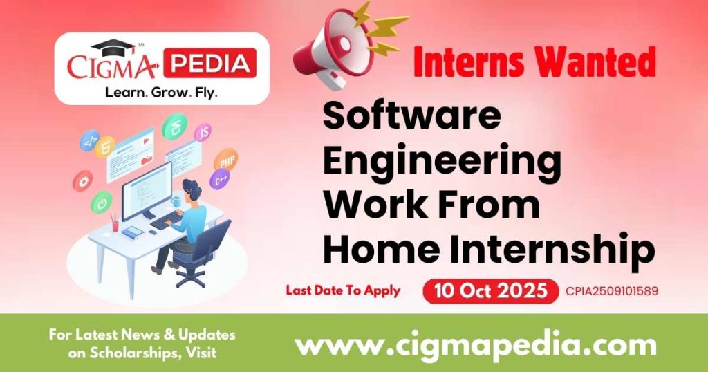 Software Engineering Work From Home Internship