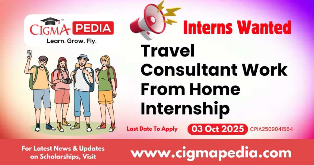Travel Consultant Work From Home Internship