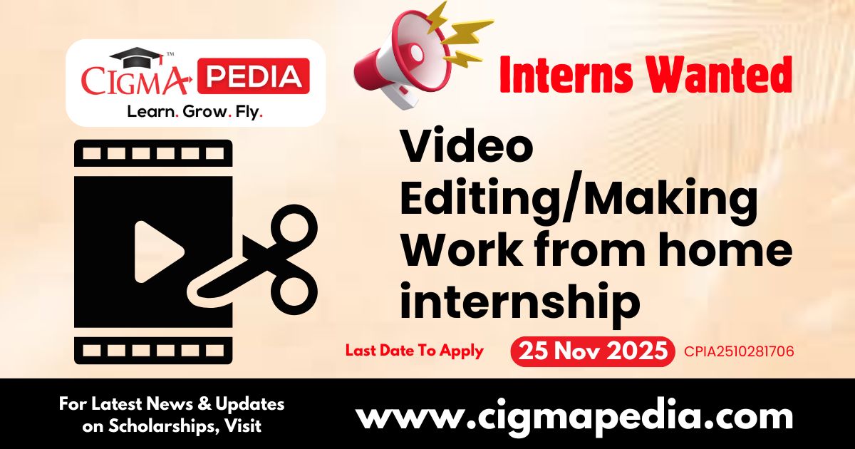 Video Editing/Making Work from home internship