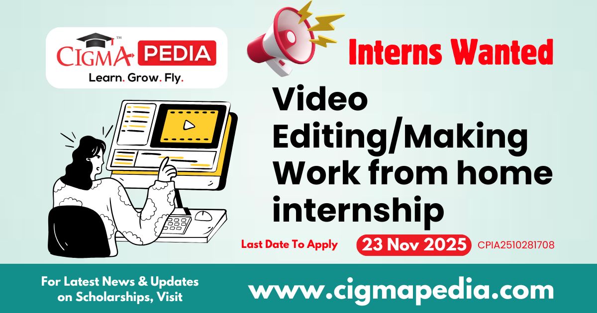 Video Editing/Making Work from home internship