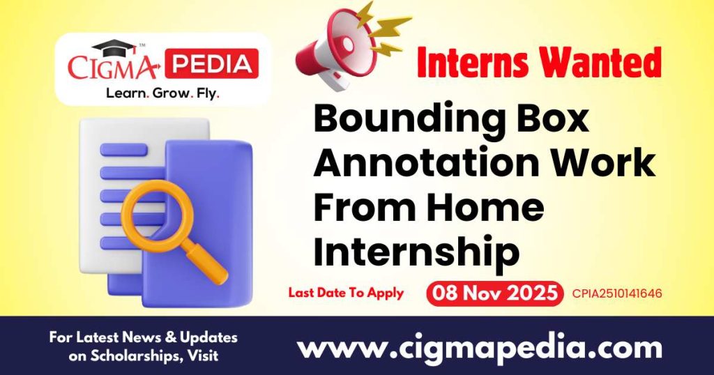 Bounding Box Annotation Work From Home Internship