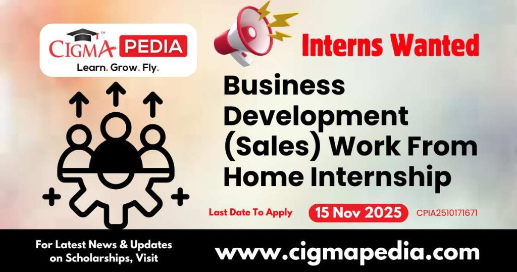 Business Development (Sales) Work From Home Internship