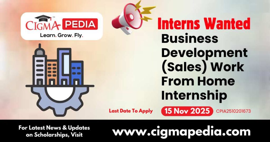 Business Development (Sales) Work From Home Internship