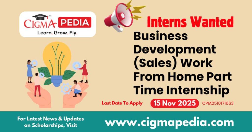 Business Development (Sales) Work From Home Part Time Internship
