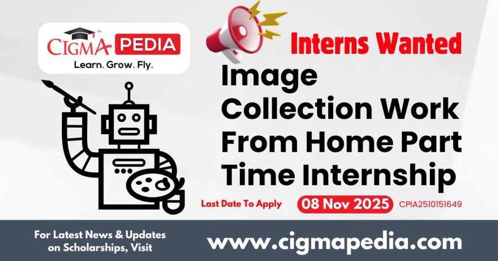 Image Collection Work From Home Part Time Internship