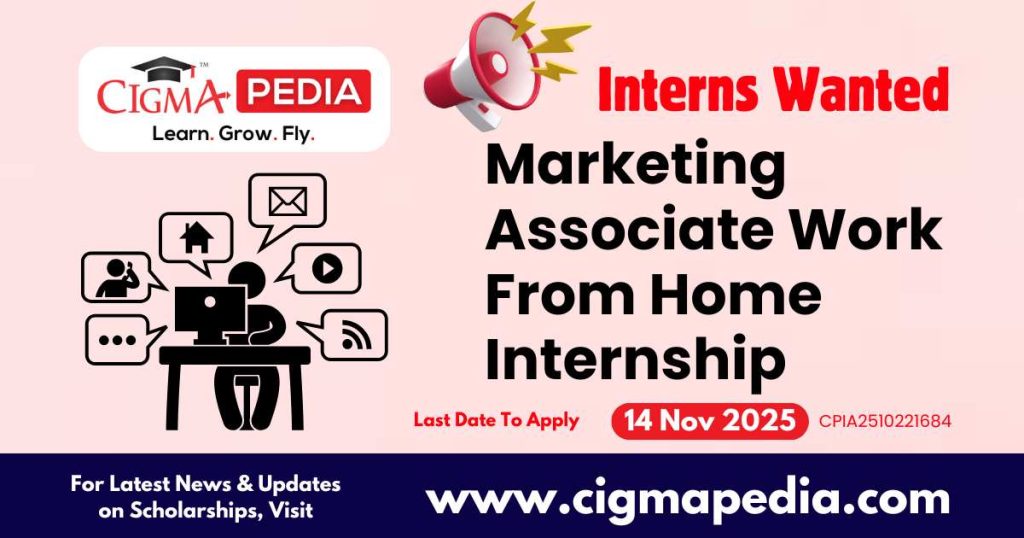 Marketing Associate Work From Home Internship