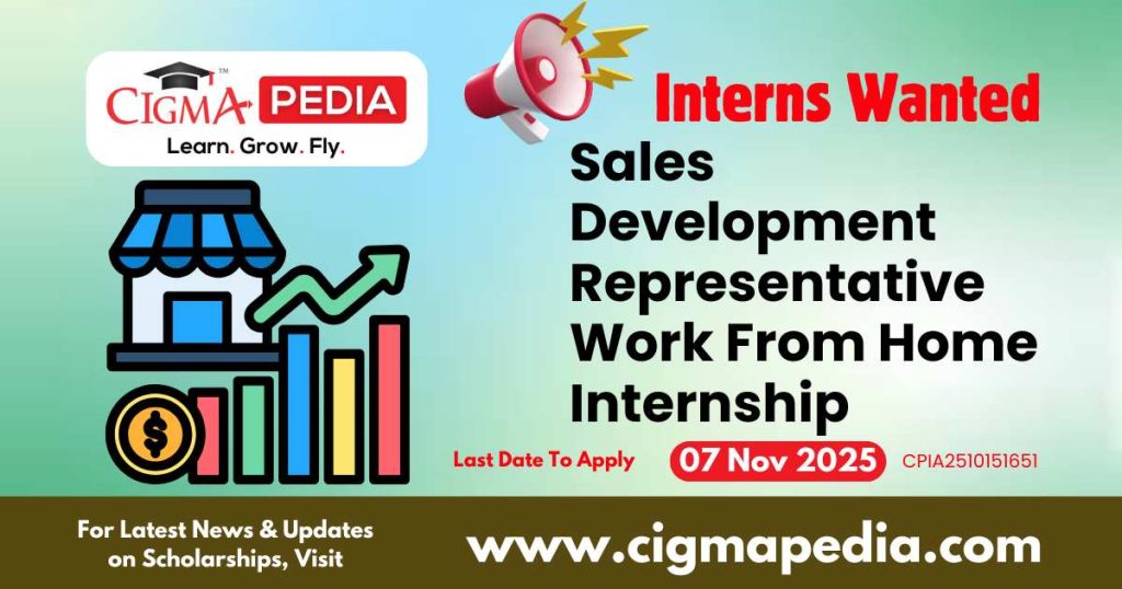 Sales Development Representative Work From Home Internship