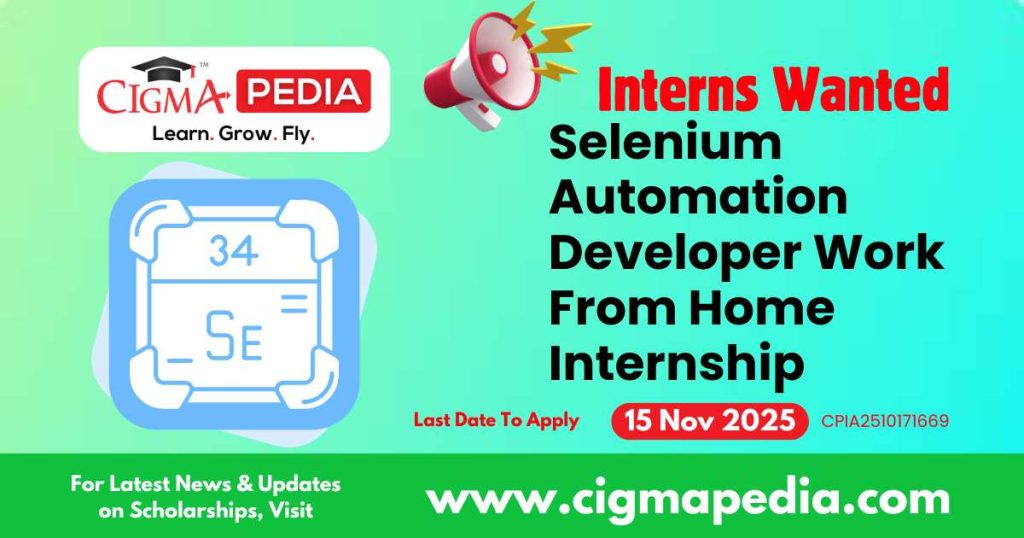 Selenium Automation Developer Work From Home Internship