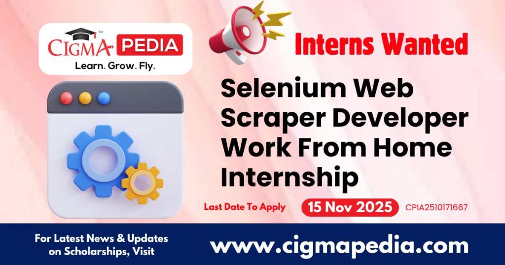 Selenium Web Scraper Developer Work From Home Internship