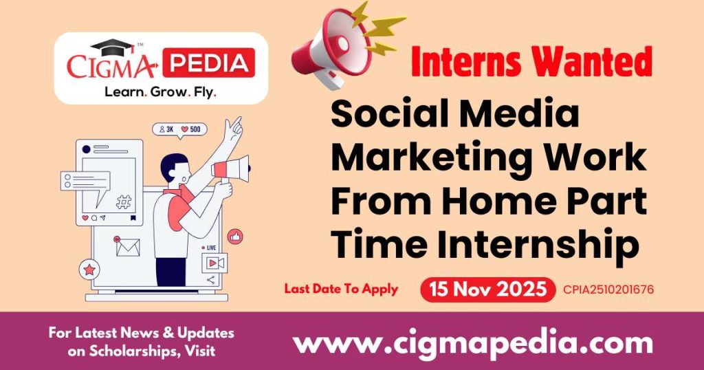 Social Media Marketing Work From Home Part Time Internship