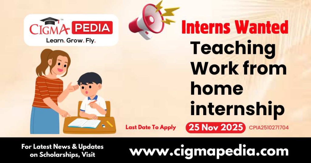Teaching Work from home internship