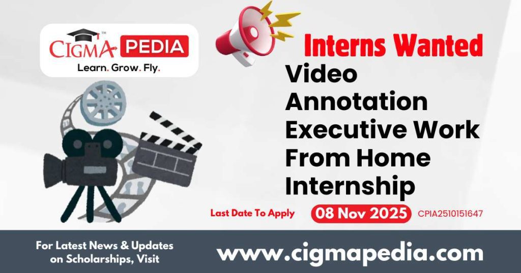 Video Annotation Executive Work From Home Internship