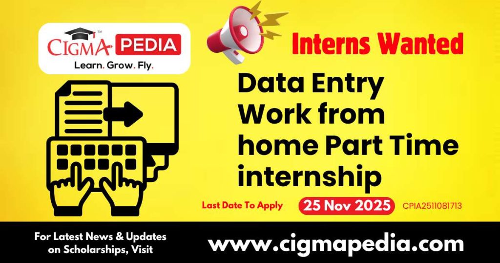 Data Entry Work from home Part Time internship