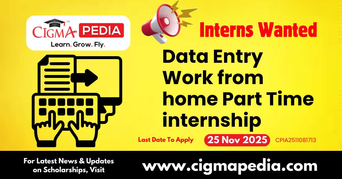 Data Entry Work from home Part Time internship