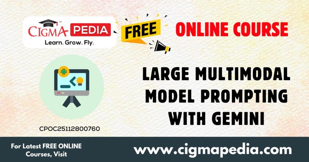 Large Multimodal Model Prompting with Gemini