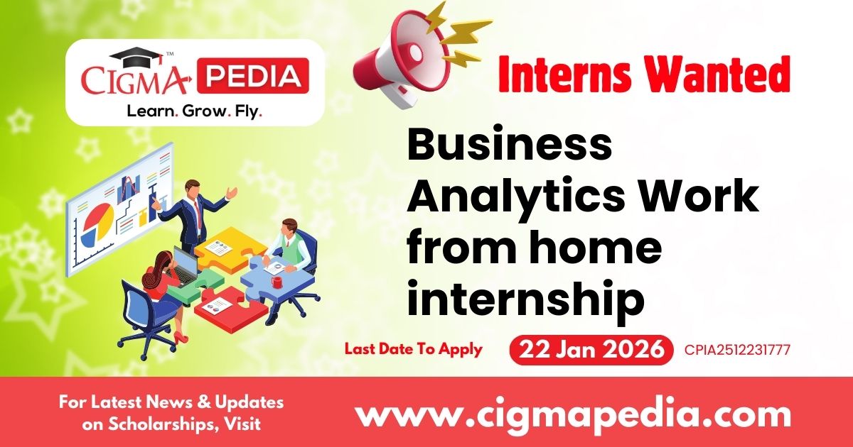 Business Analytics Work from home internship