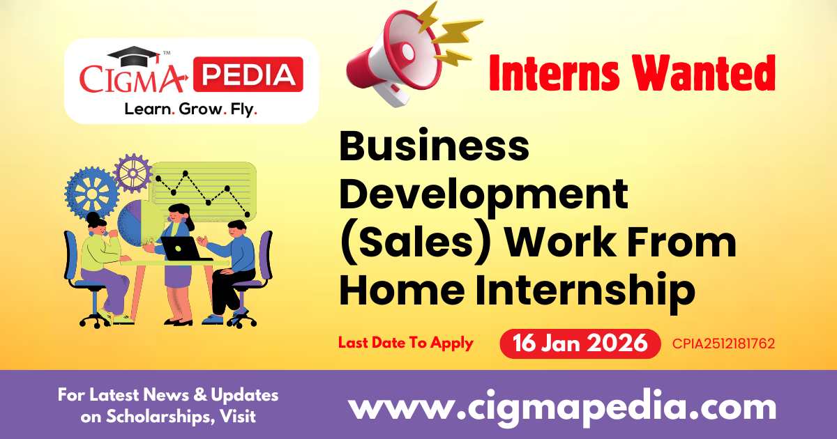 Business Development (Sales) Work From Home Internship