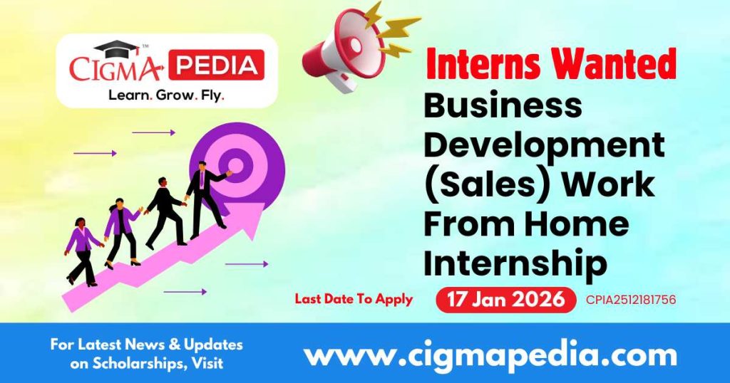 Business Development (Sales) Work From Home Internship