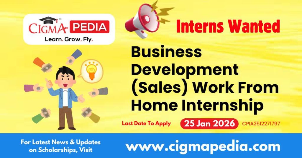 Business Development (Sales) Work From Home Internship
