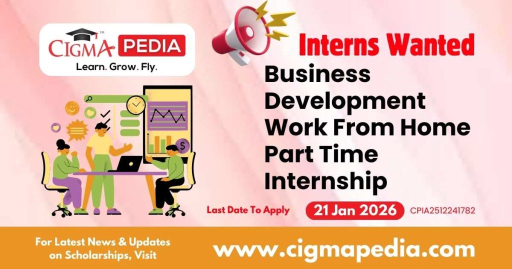 Business Development Work From Home Part Time Internship