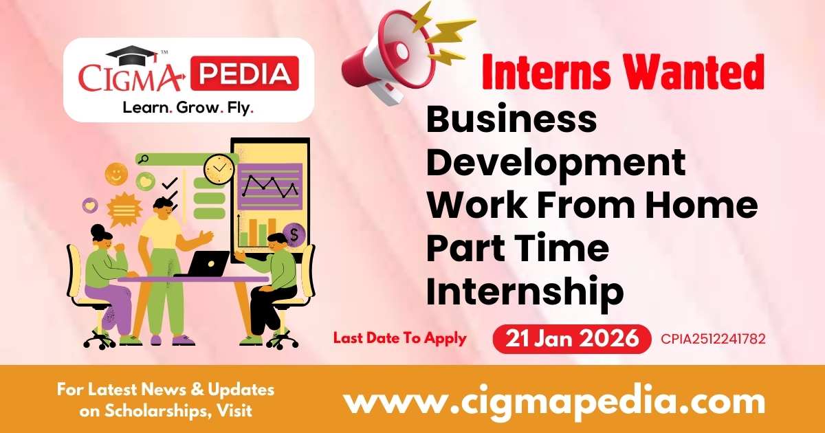 Business Development Work From Home Part Time Internship
