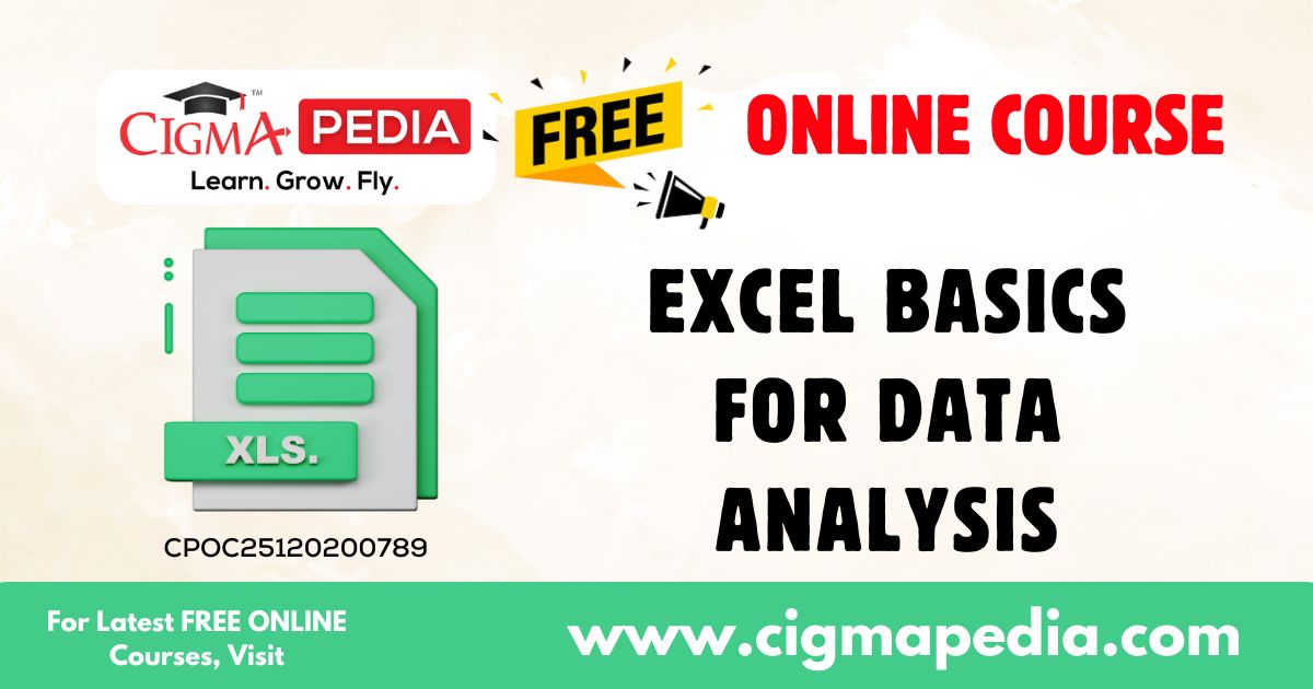 Excel Basics for Data Analysis