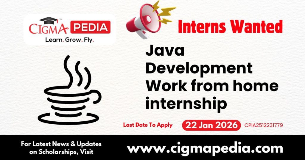 Java Development Work from home internship
