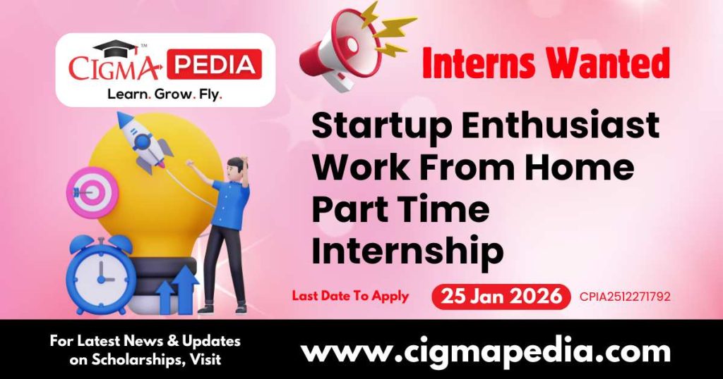 Startup Enthusiast Work From Home Part Time Internship