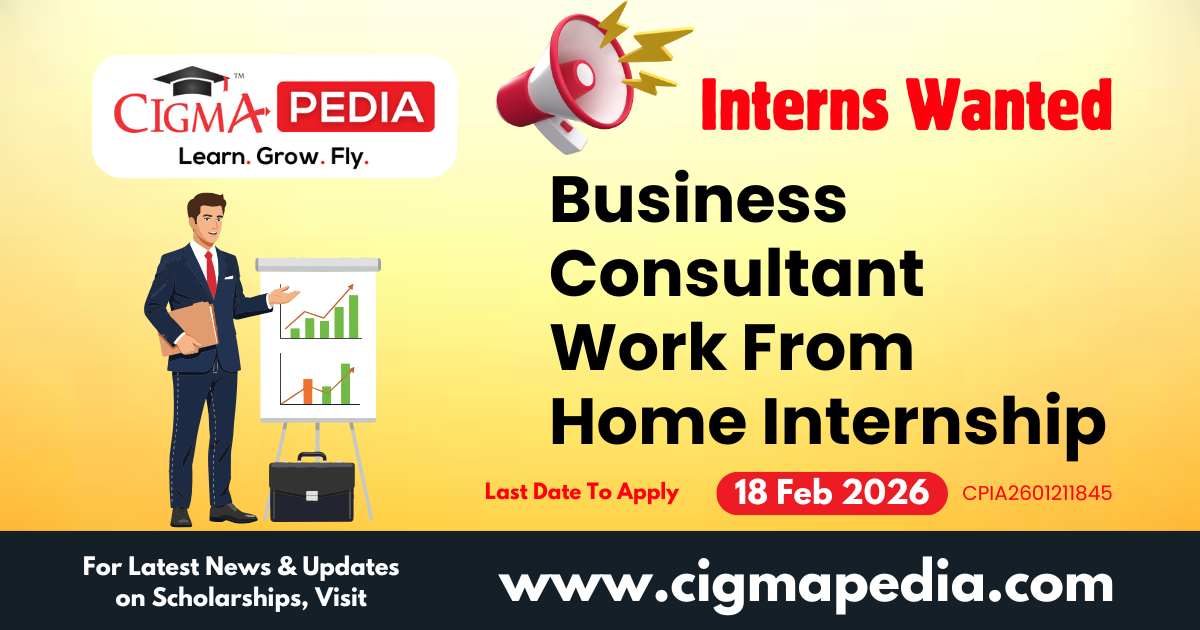 Business Consultant Work From Home Internship