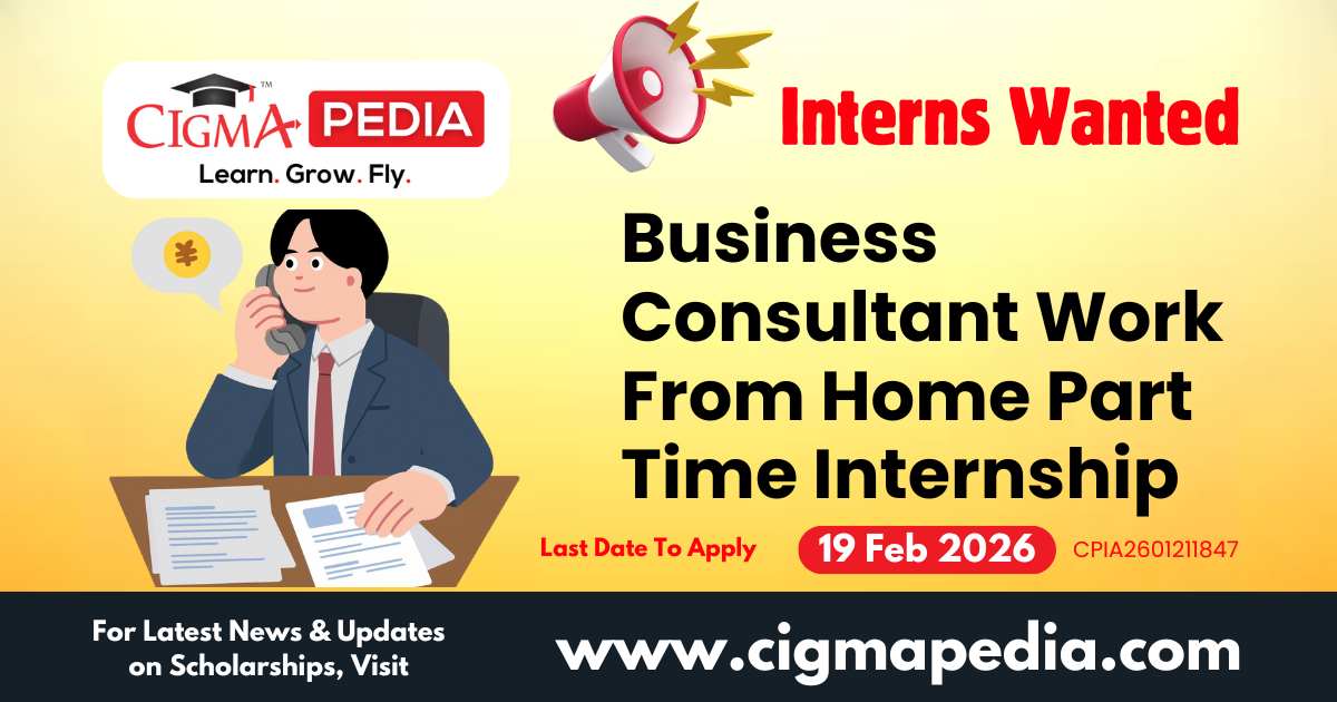 Business Consultant Work From Home Part Time Internship