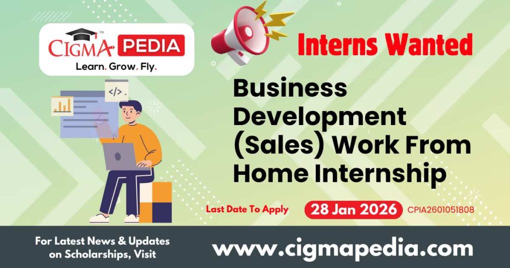 Business Development (Sales) Work From Home Internship