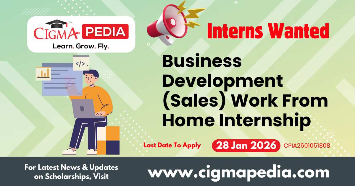 Business Development (Sales) Work From Home Internship