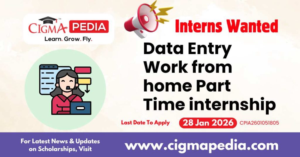 Data Entry Work from home Part Time internship