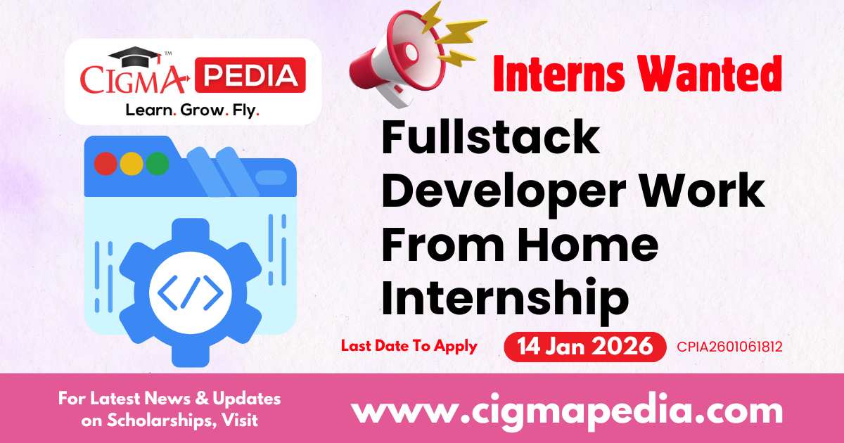 Fullstack Developer Work From Home Internship