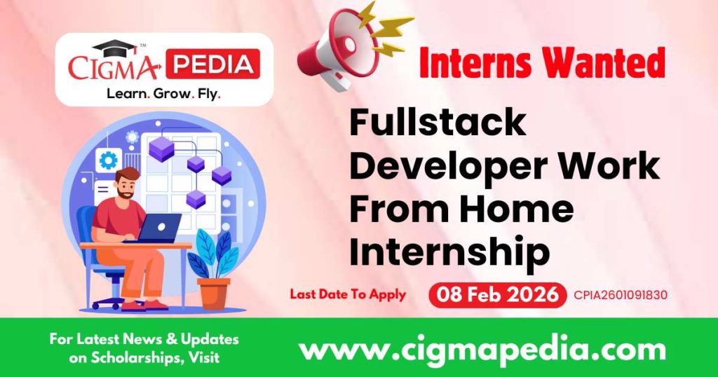 Fullstack Developer Work From Home Internship