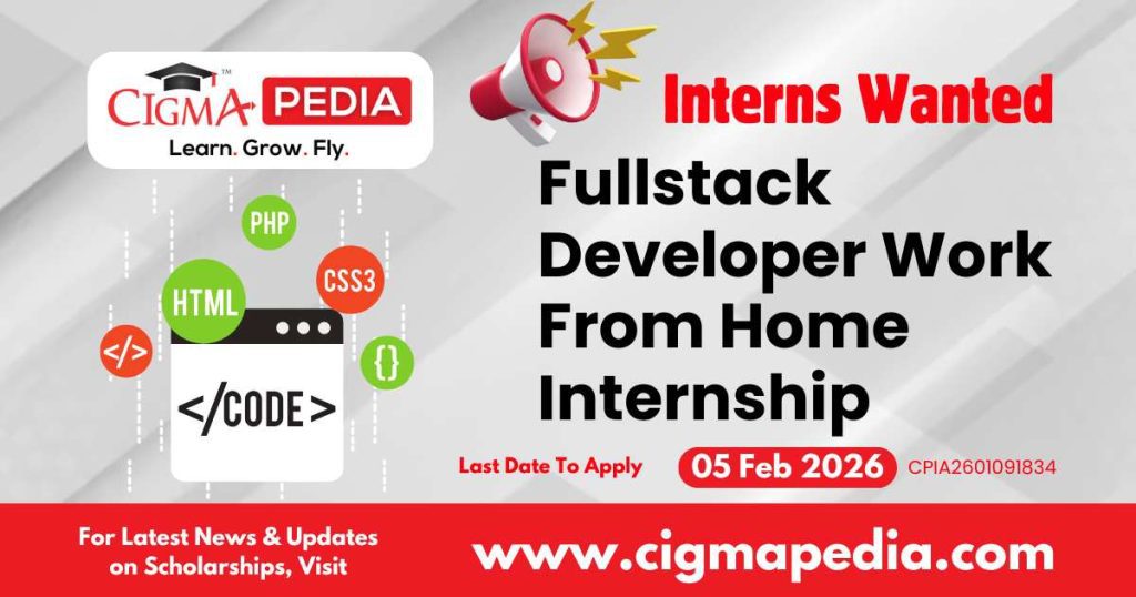 Fullstack Developer Work From Home Internship