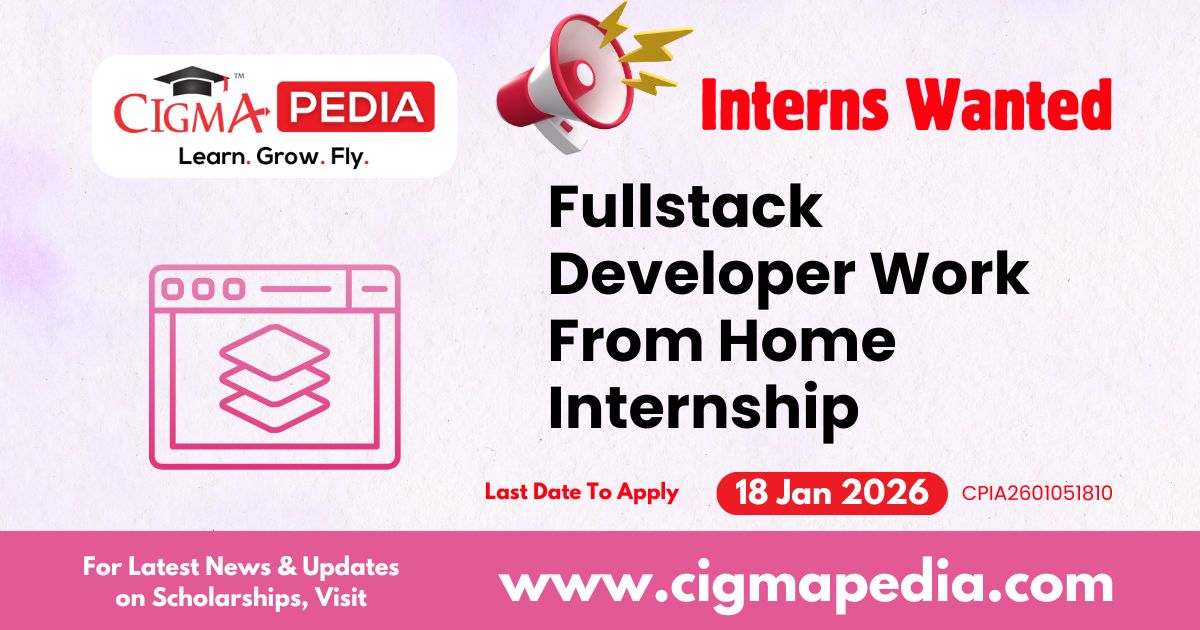 Fullstack Developer Work From Home Internship