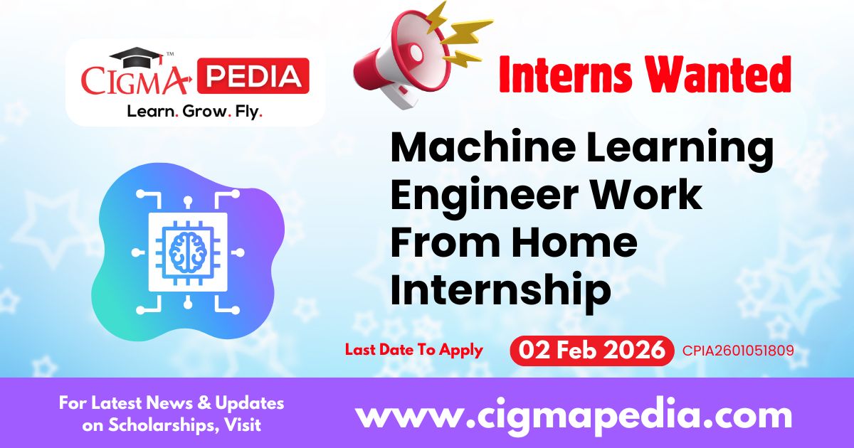 Machine Learning Engineer Work From Home Internship