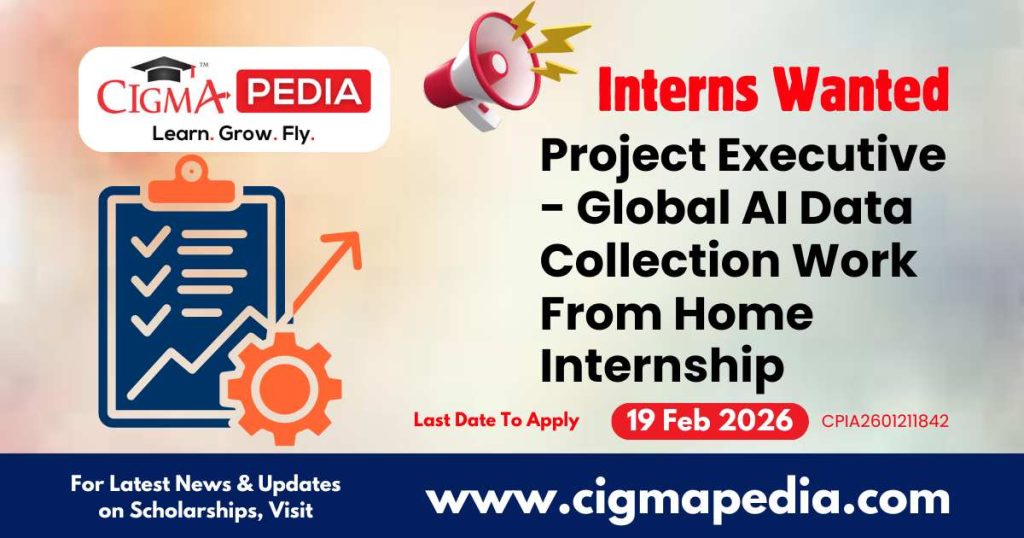 Project Executive - Global AI Data Collection Work From Home Internship