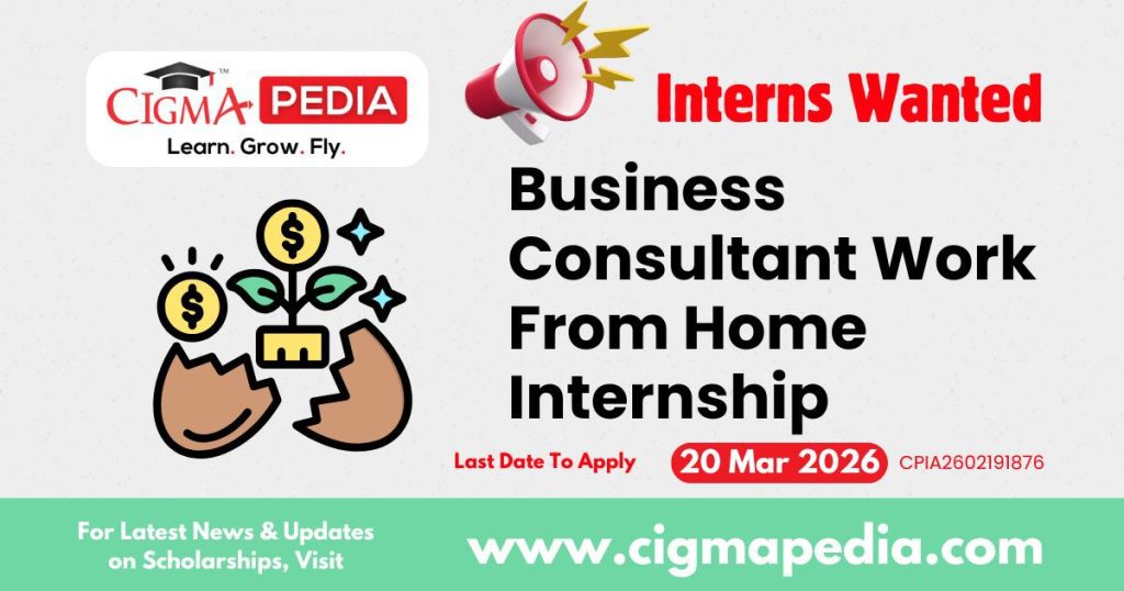 Business Consultant Work From Home Internship