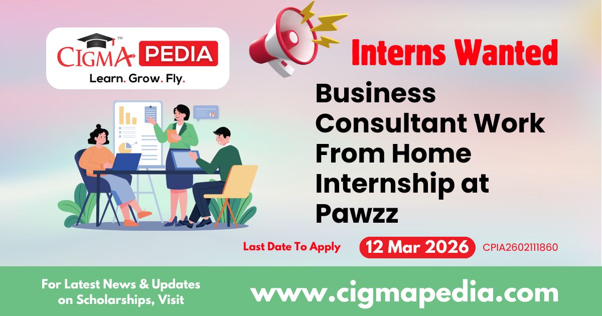 Business Consultant Work From Home Internship