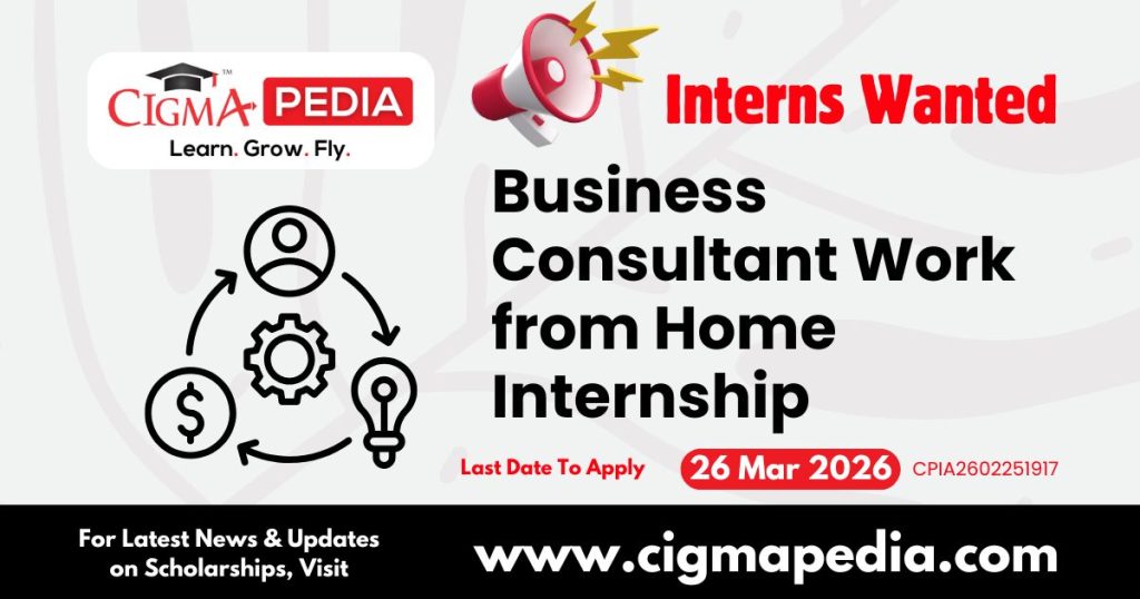 Business Consultant Work from Home Internship