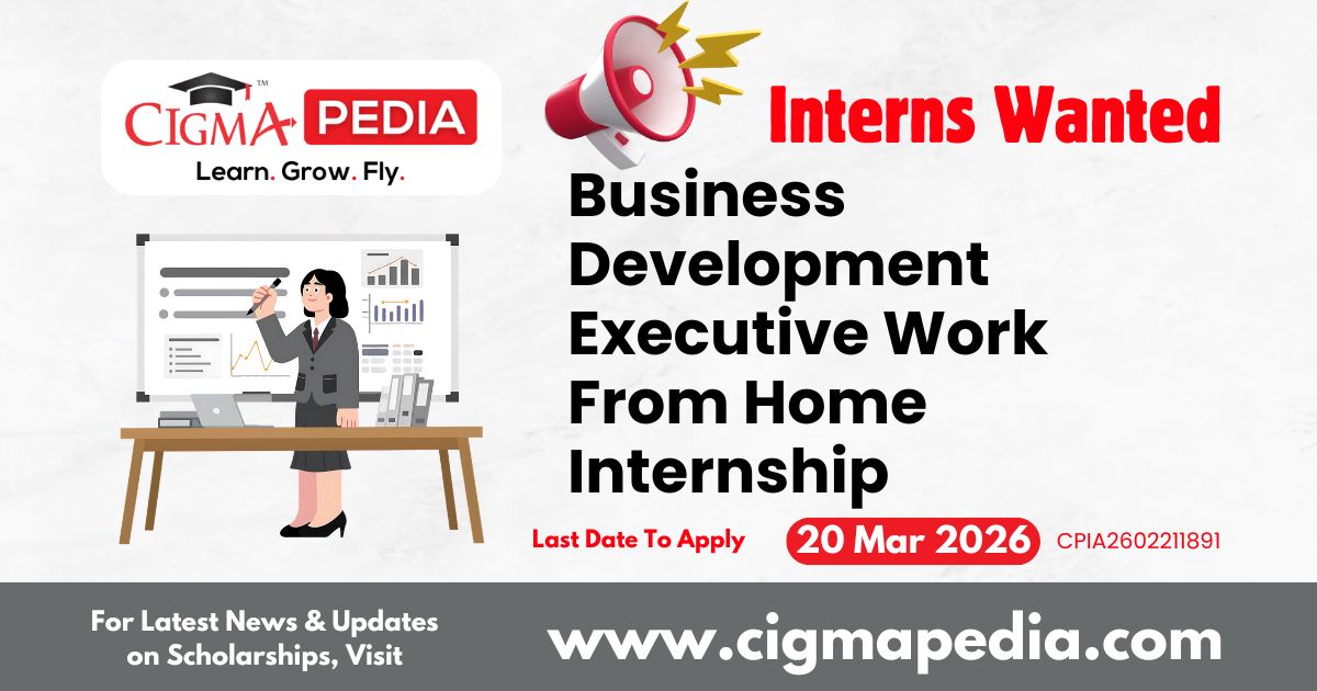 Business Development Executive Work From Home Internship