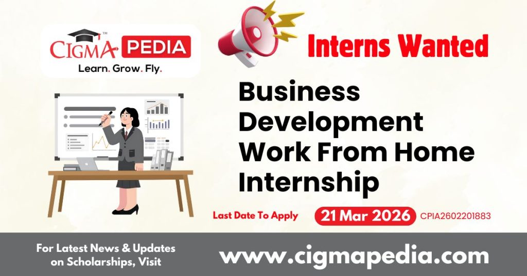 Business Development Work From Home Internship