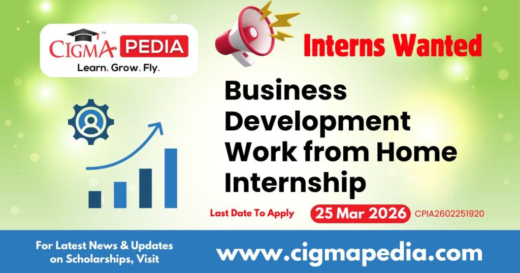 Business Development Work from Home Internship
