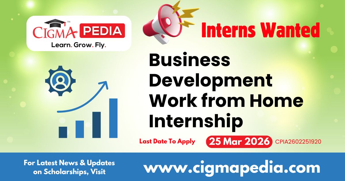 Business Development Work from Home Internship