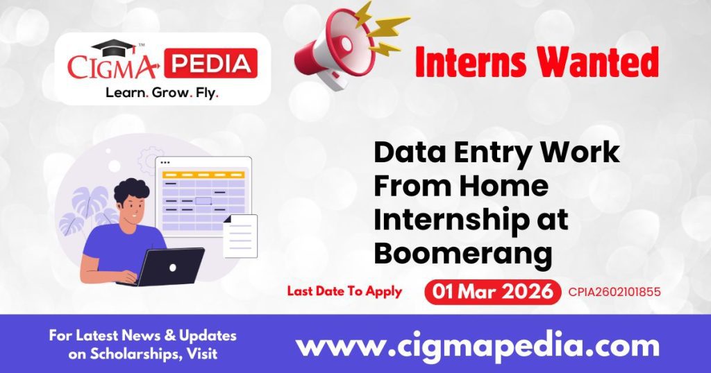 Data Entry Work From Home Internship